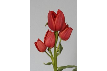RED GEORGETTE 